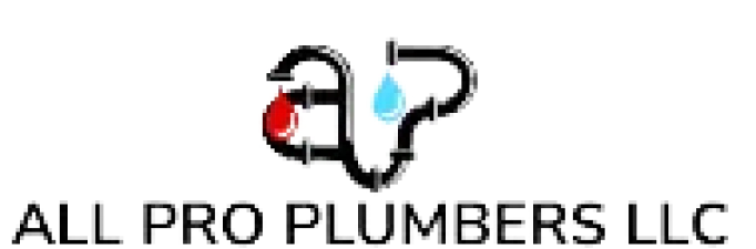All Pro Plumbers LLC logo